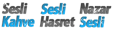 SeSLiHaSReT.Com, Türkiye Chat
